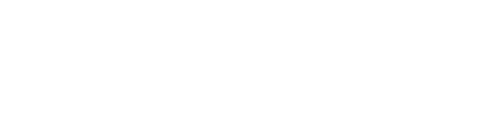 Bastion Square Financial Corporation Logo